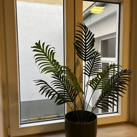 Cozy In * Bergisch Gladbach